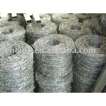 Galvanized Barbed Wire